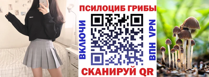 где продают   hydra ссылка  Галлюциногенные грибы прущие грибы  Сафоново 